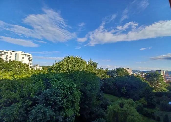 Przestronne M Przyjazne Dzieciom I Zwierzętom